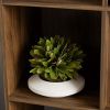 6-Cube Storage Organizer